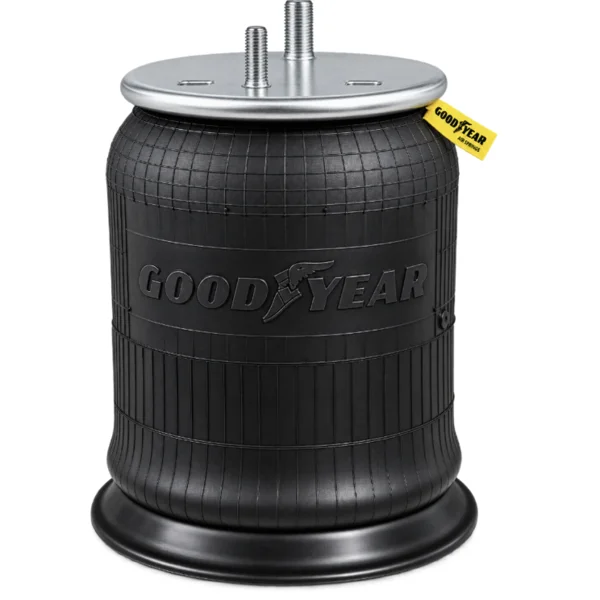 Bolsa de Aire Goodyear Hendrickson